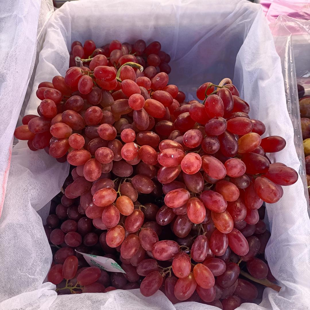 🍓卖水果的小李子🍎