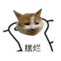 奖励一哥江怀