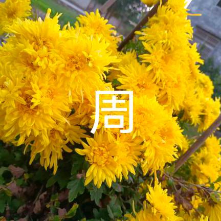 用户😍️🤗️😘️310310253