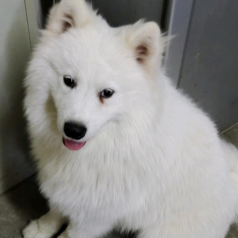 如歌岁月