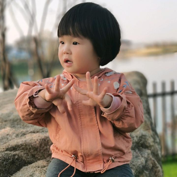 燕子🕊🕊