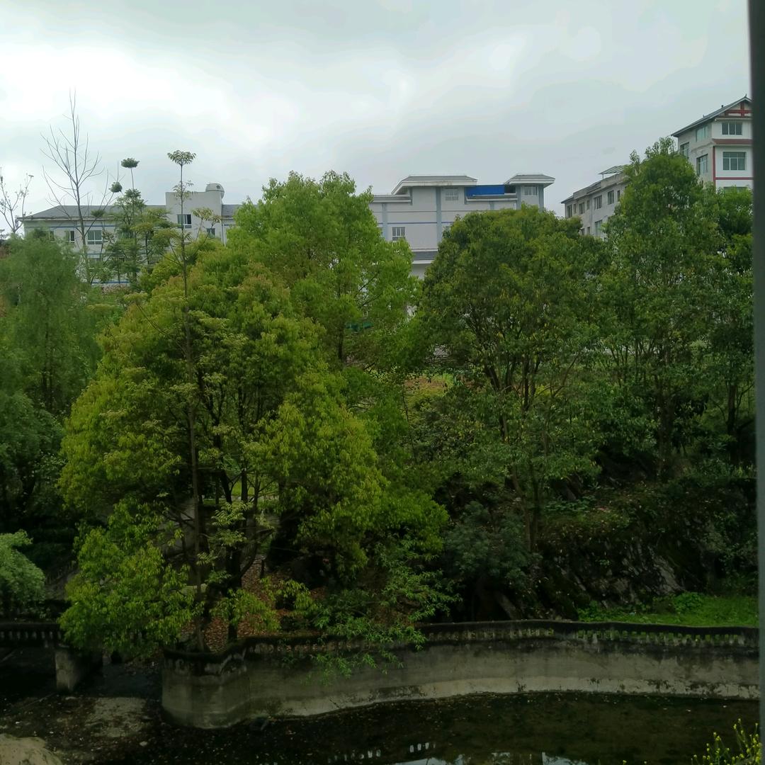 李帮分