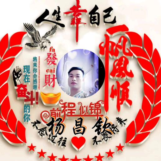 小杨哥%