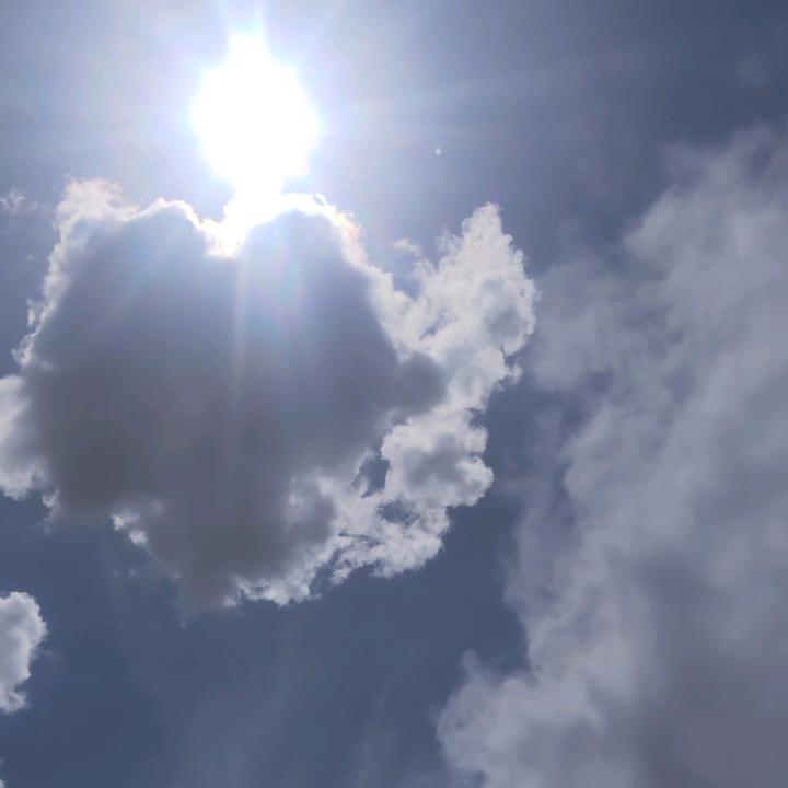 心以凉，莫来伤