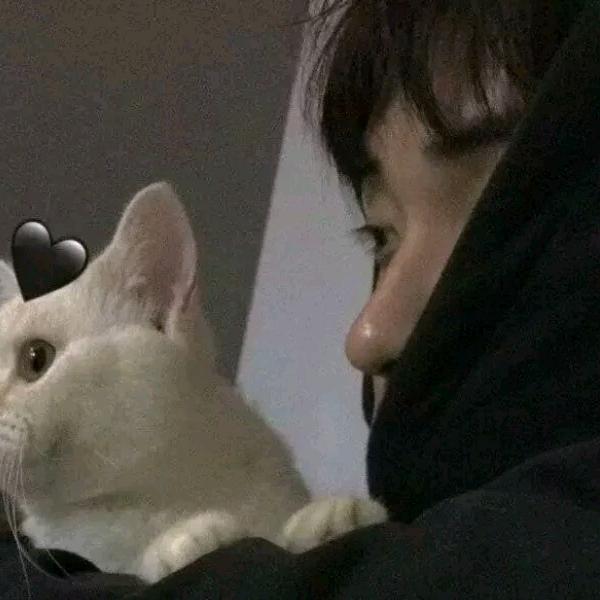 低头的麦穗
