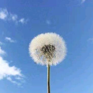 Bad child super