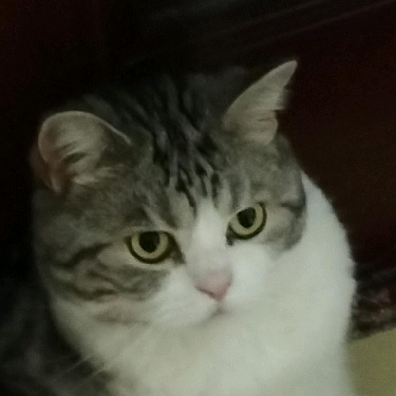 漫步歌坊