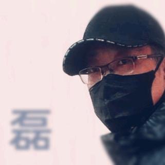 磊