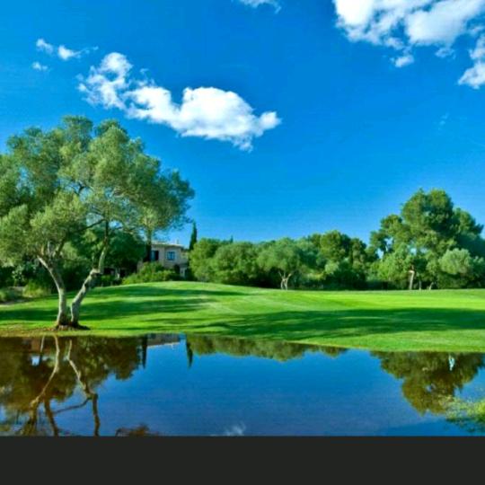 蓝天🌴九龙娘家人5987🌴🙏🙏