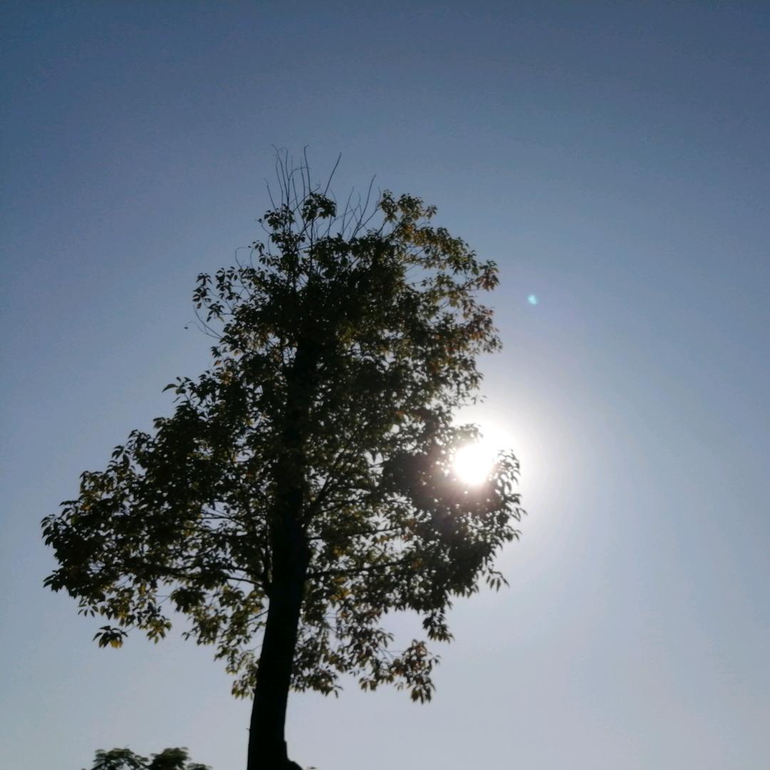 2(๑><๑）🐵猴妹