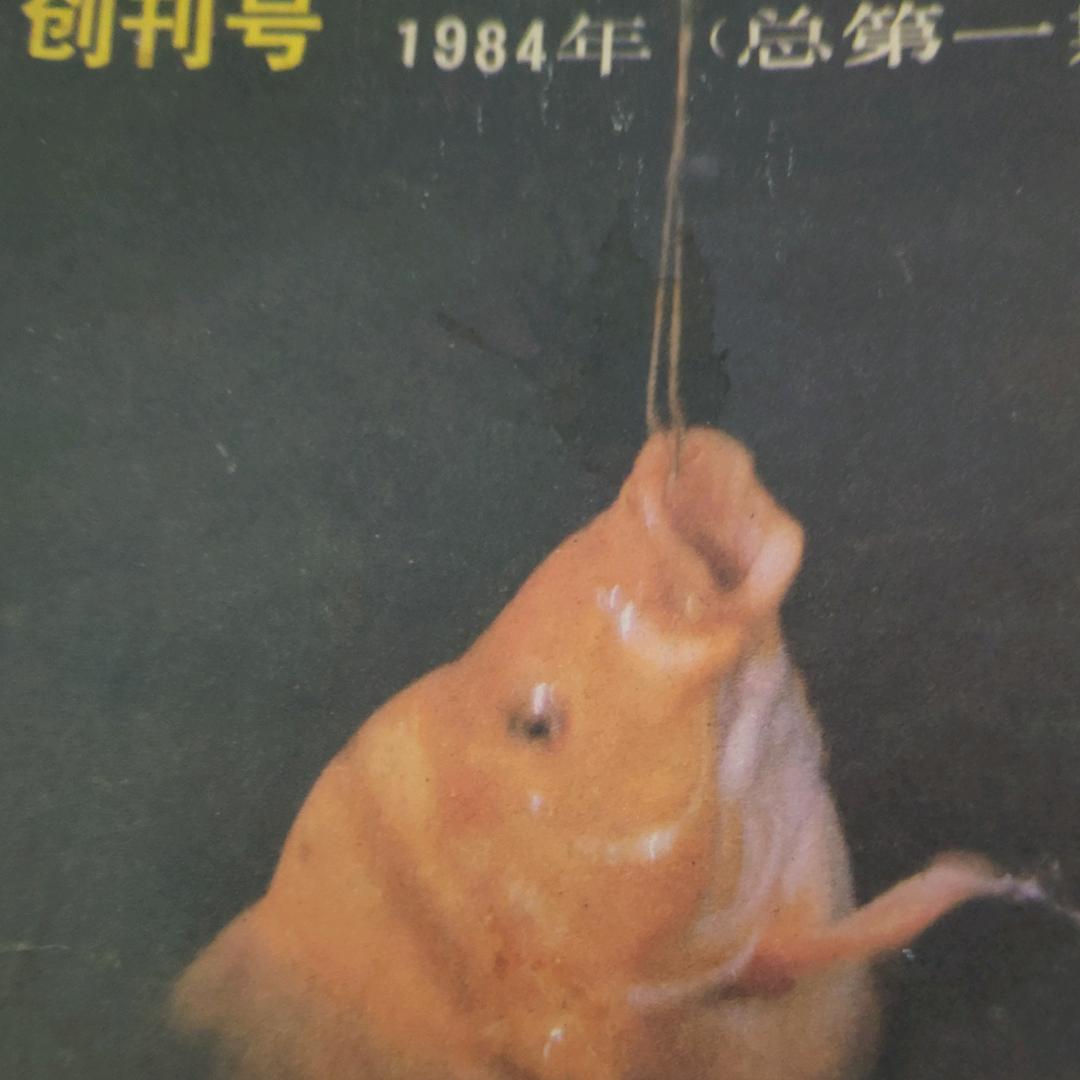 天天钓鱼精选