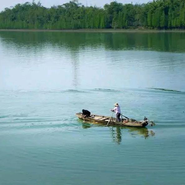 下一站是下一站