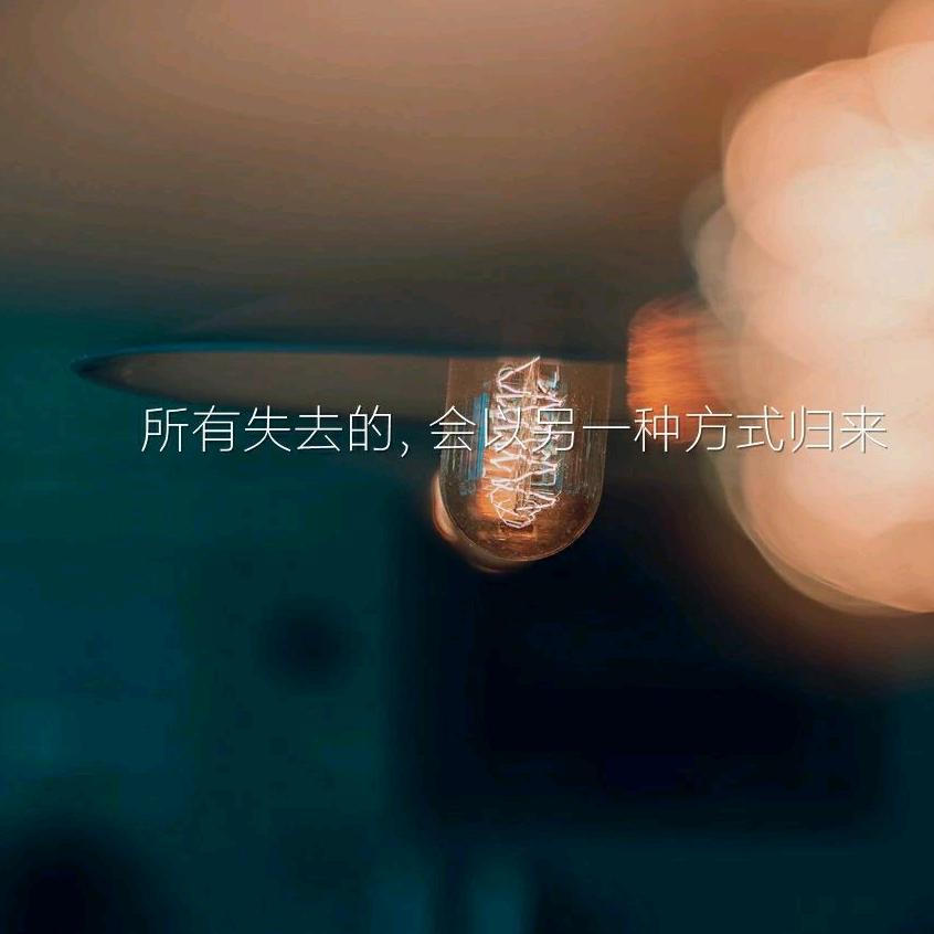 蒲公英头像