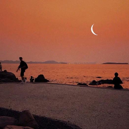 渠县｜想开了 flower花艺