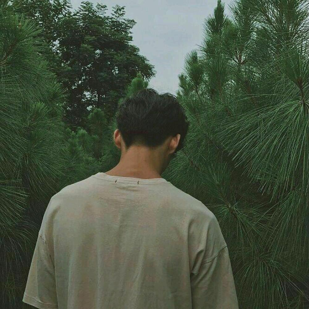 也许明天