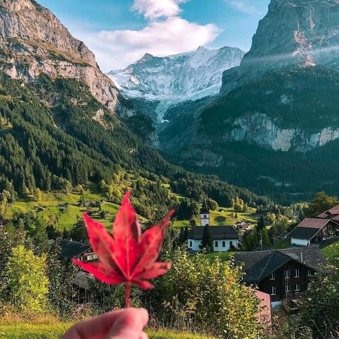 心中的太阳☀️