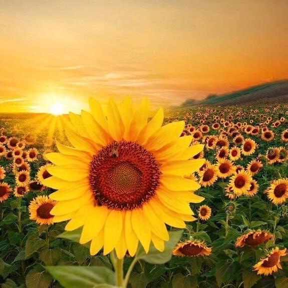 小太阳☀️✨章磊✨¹³¹⁴