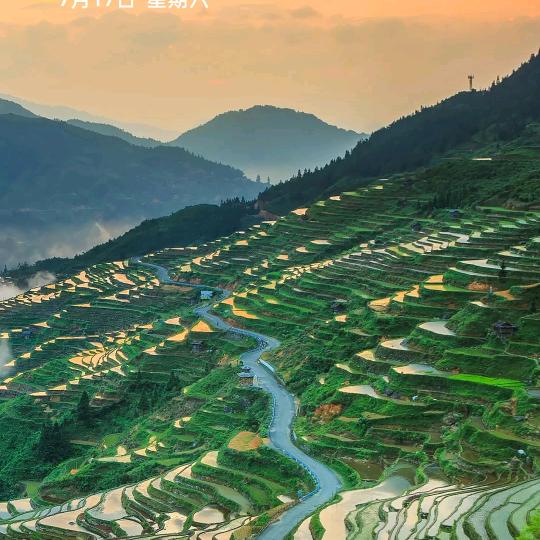 小李