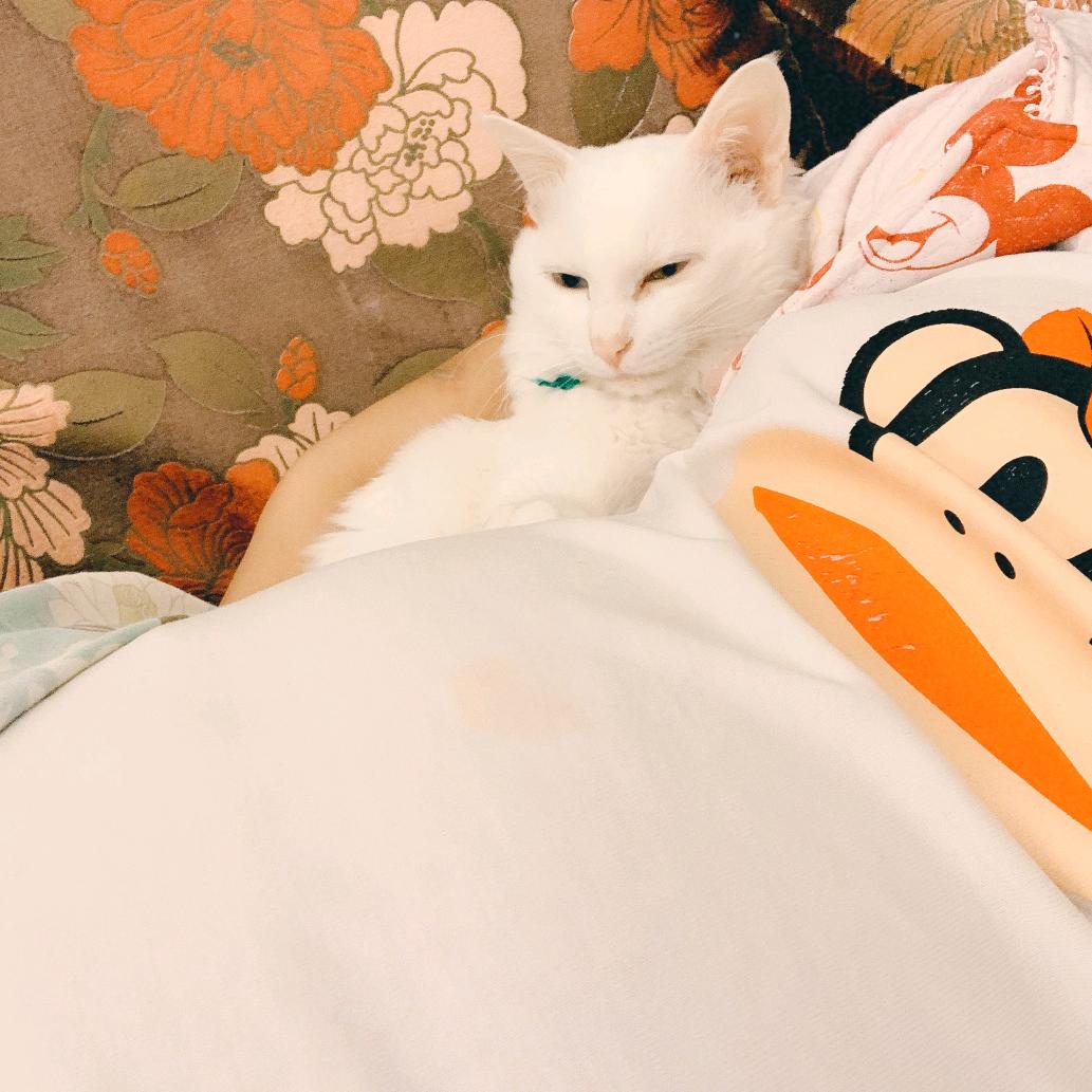 我在未来等你😸