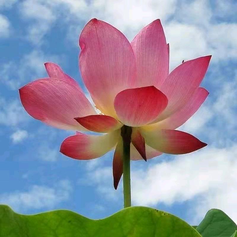 幸福每一天.