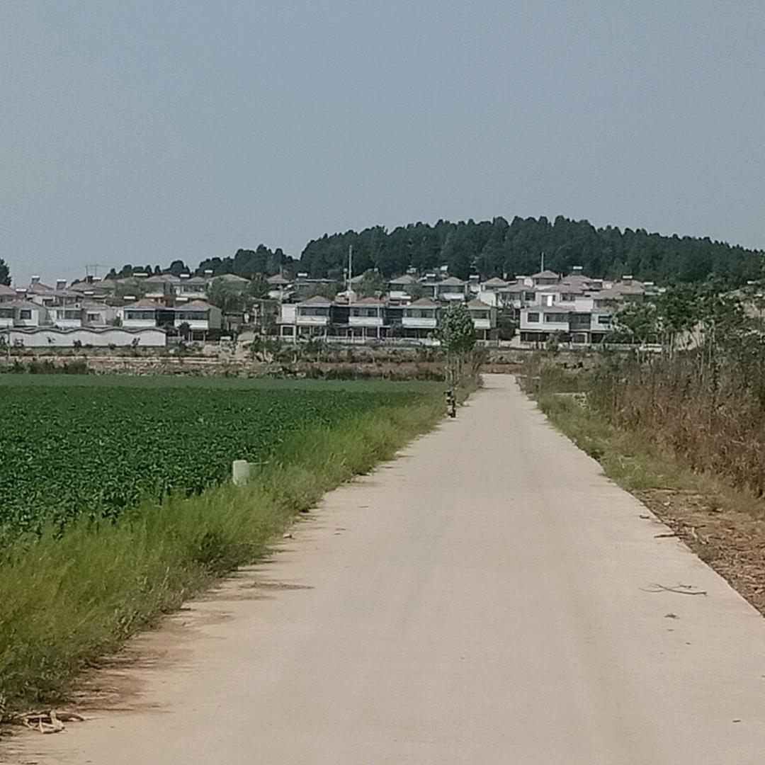 太想念
