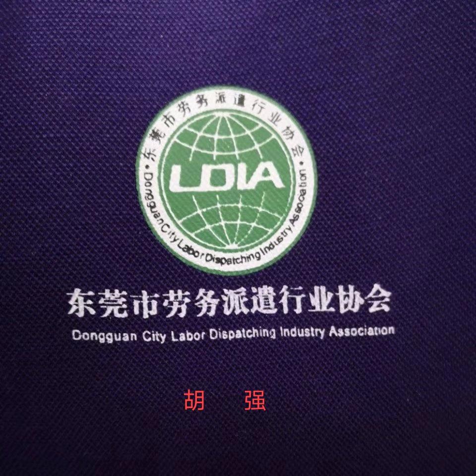 胡强  人力资源