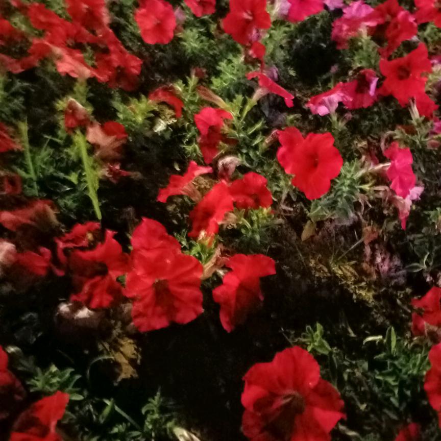 快乐，就是褔