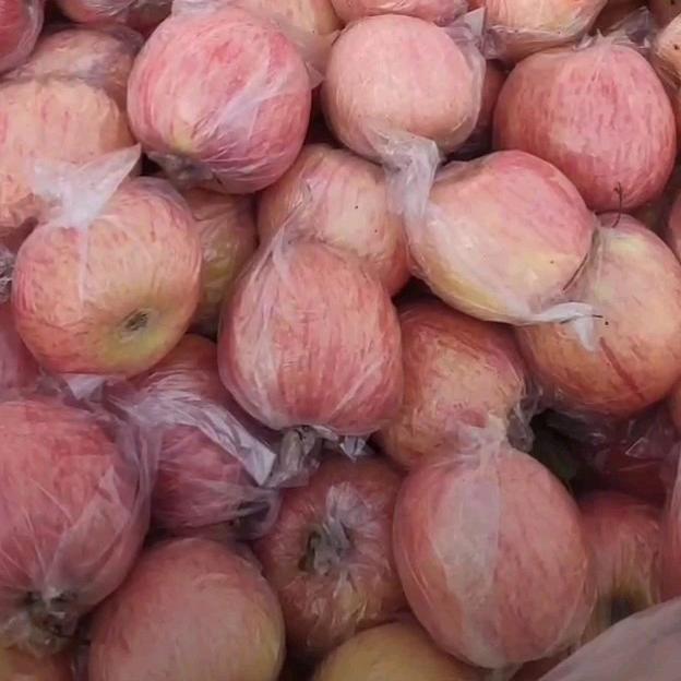 农村创业小伙火🔥金🔥鑫🔥