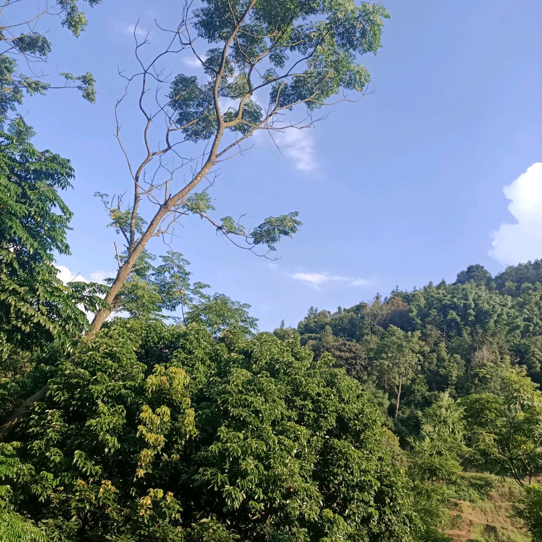 我的人生☞我做主