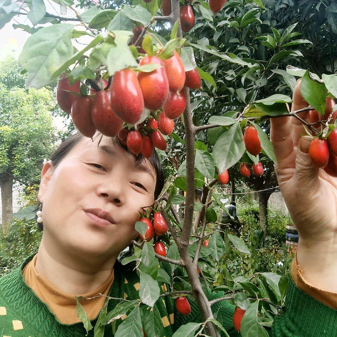 老鸦柿清扬