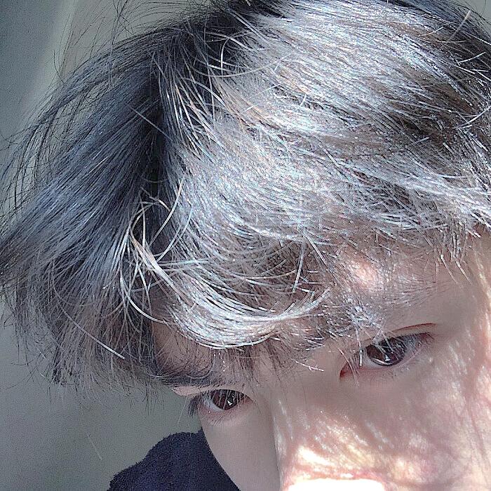 🐨./