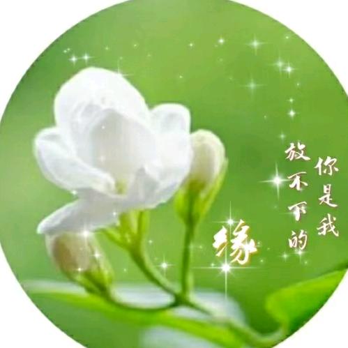 浪漫雨中