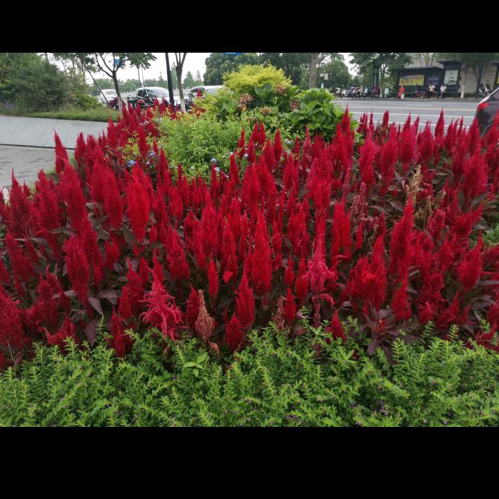 希望以后每一天快乐