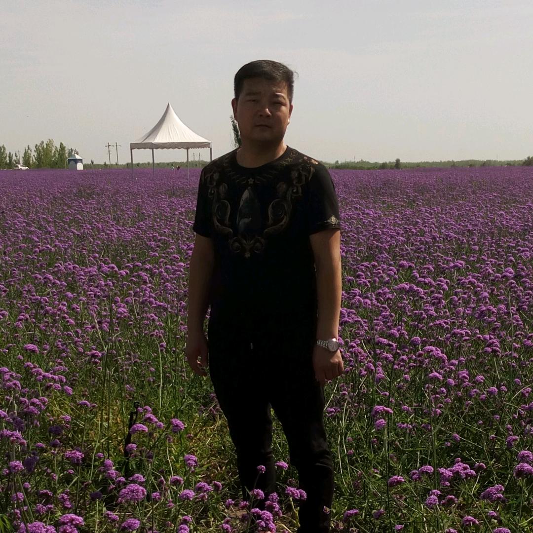 向日葵注定爱上小太阳
