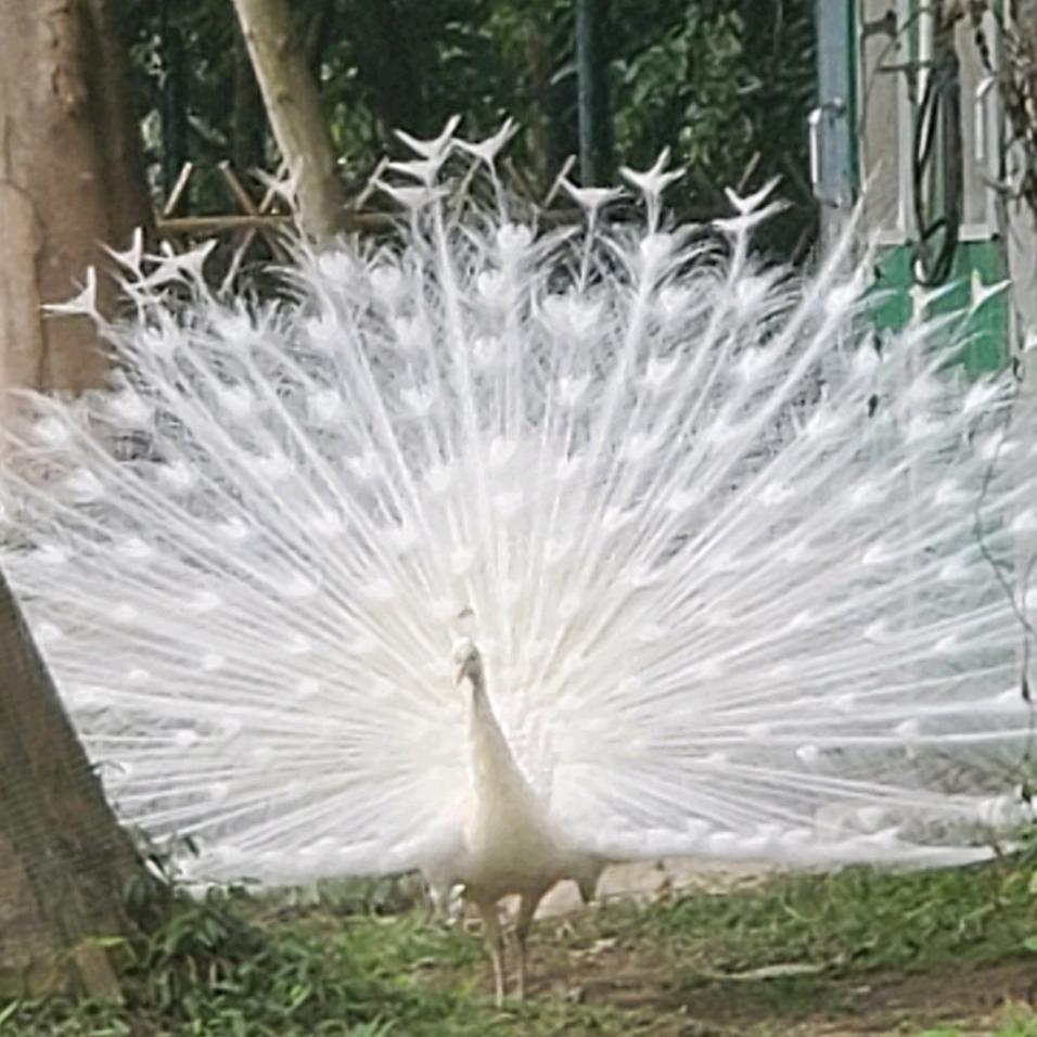 知足常樂