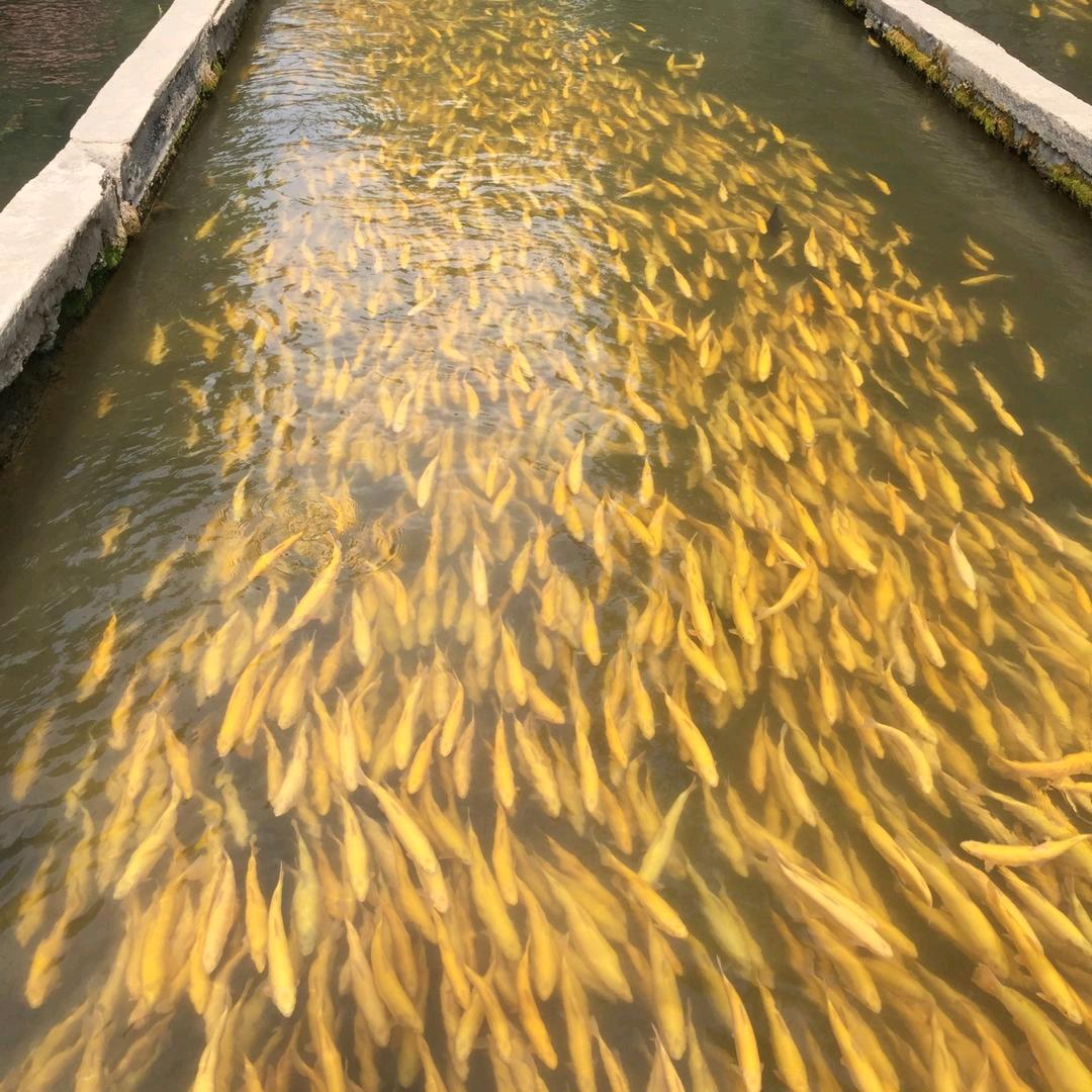 缘份