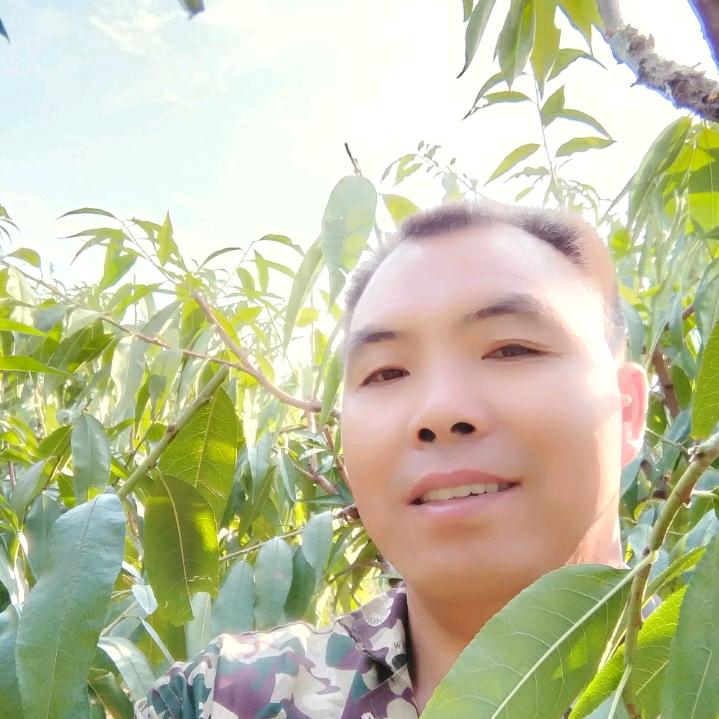 农叔爱歌