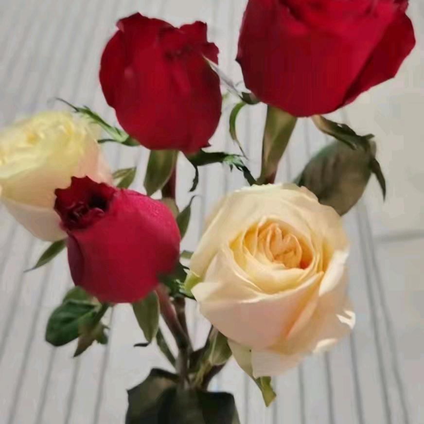 简单点ヽ(爱´∀‘爱)ノ