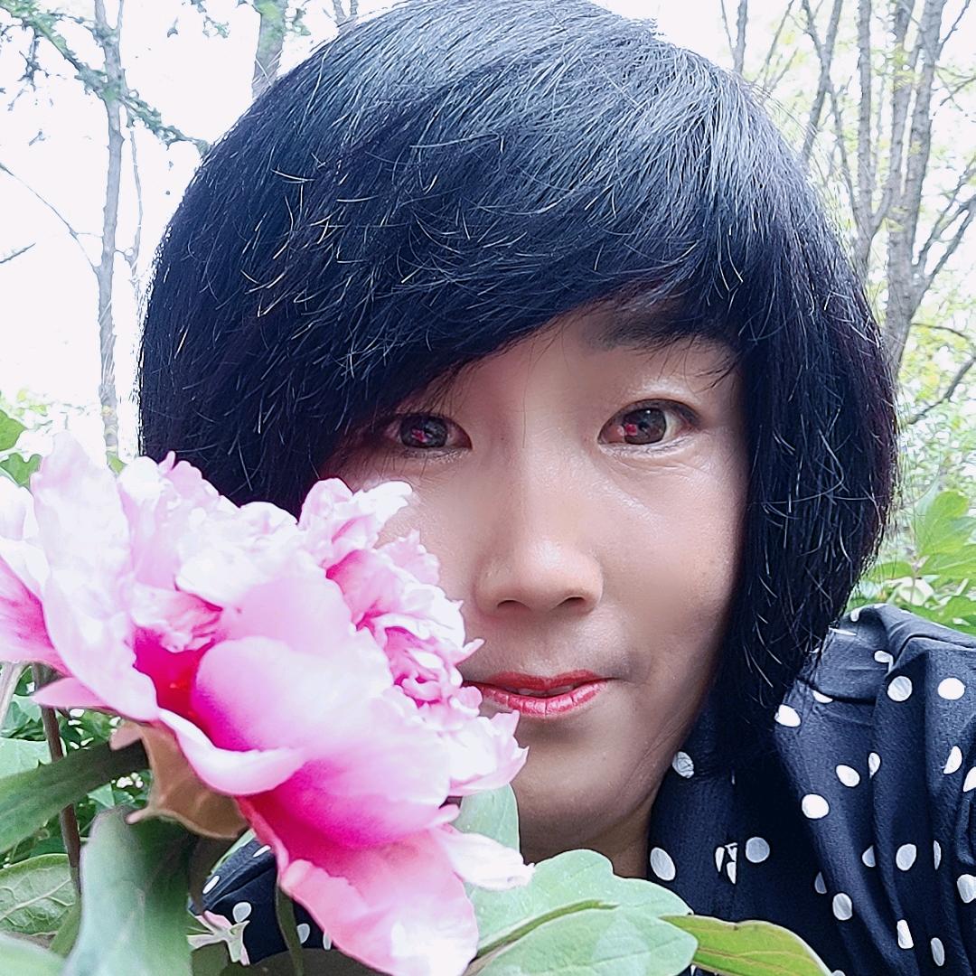 回忆总是那么伤