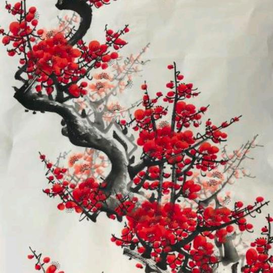 白马王孑