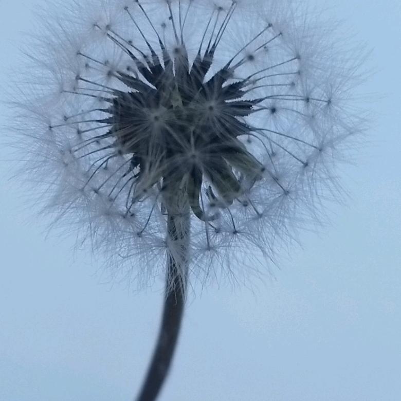 诸城精工织补各种衣服，鞋子