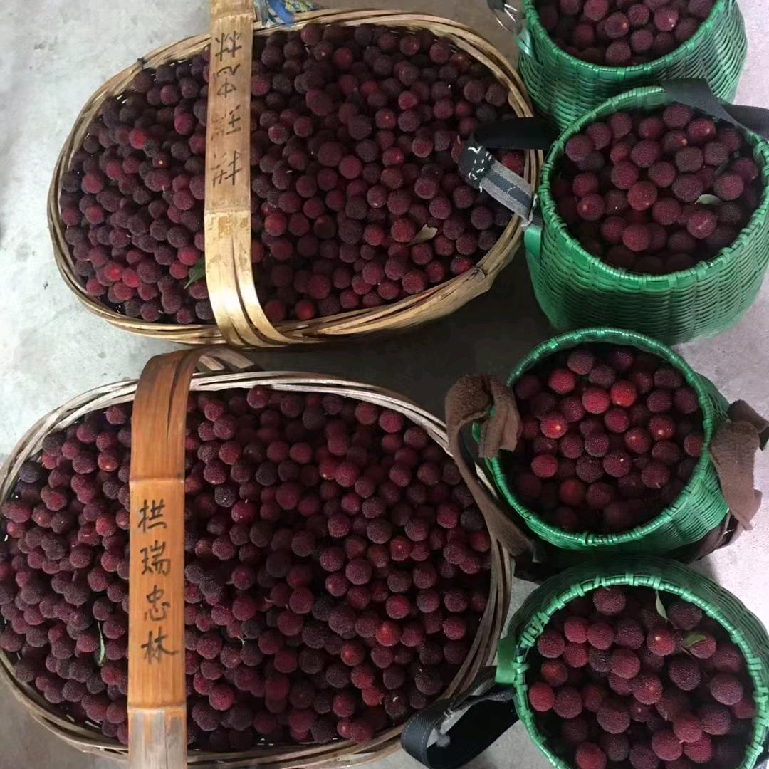 王姐姐
