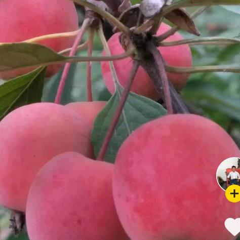 用户清风细雨2708637008123