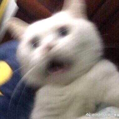 一个球