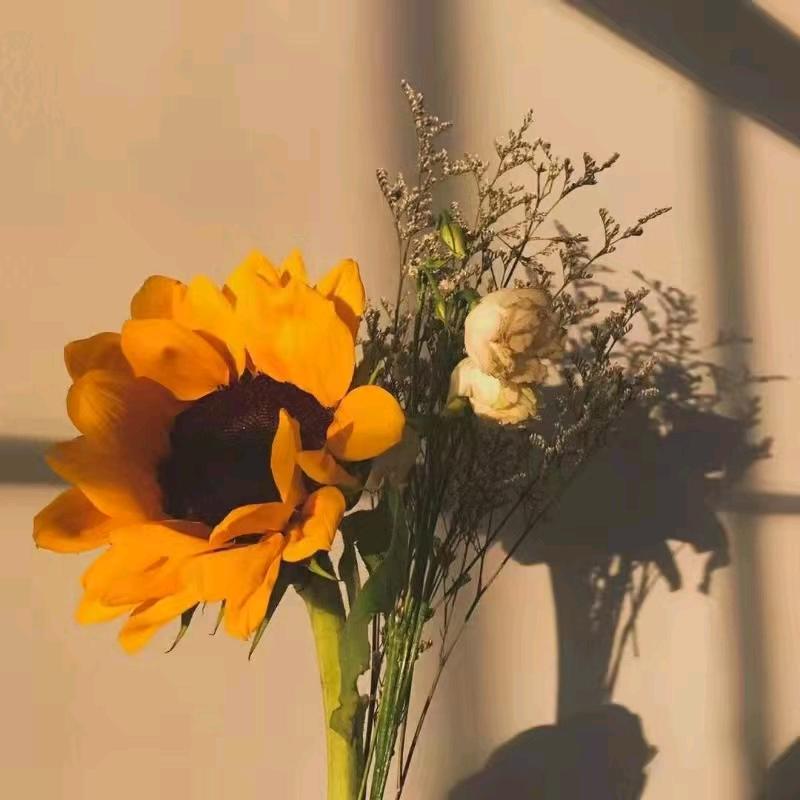 花落秋寒！
