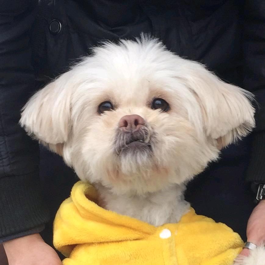 我是要成为海贼王的男人