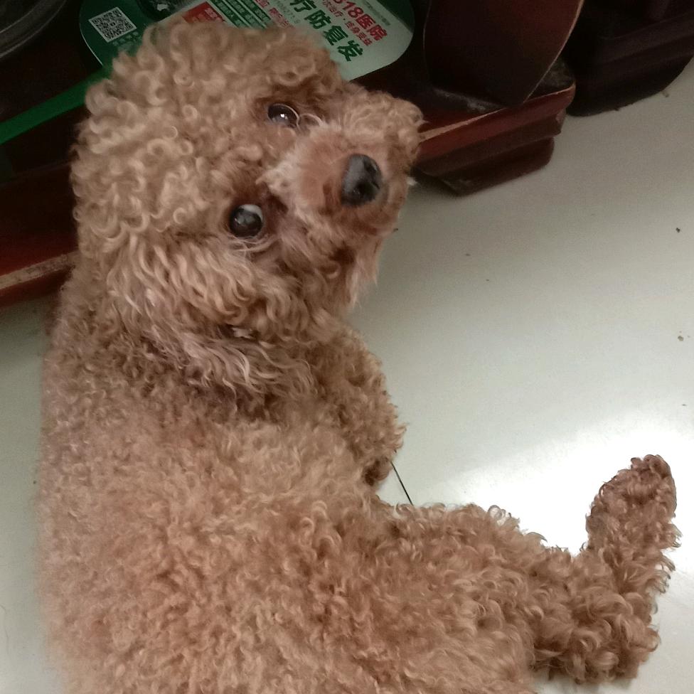 僖
