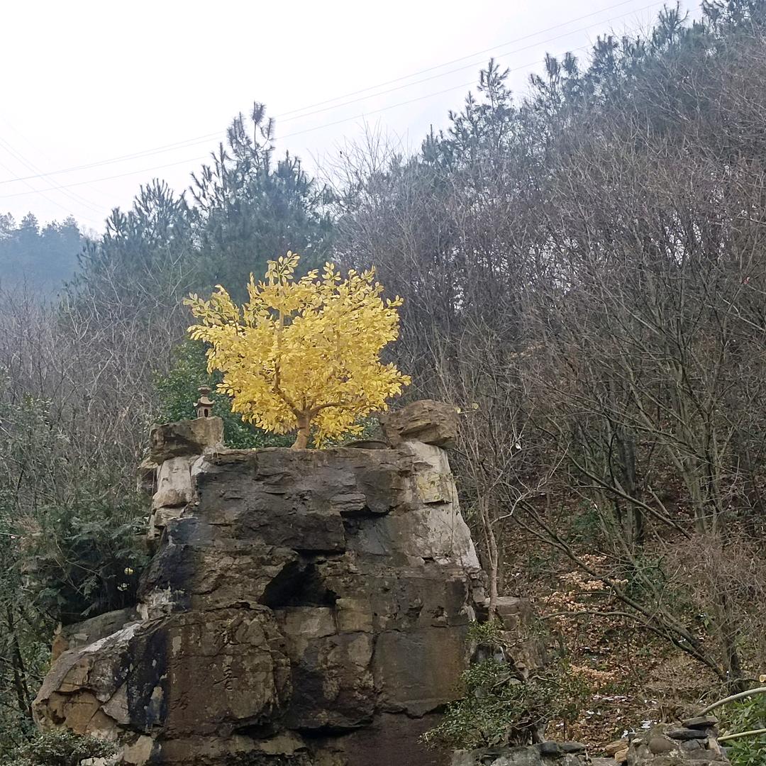 缘聚缘散