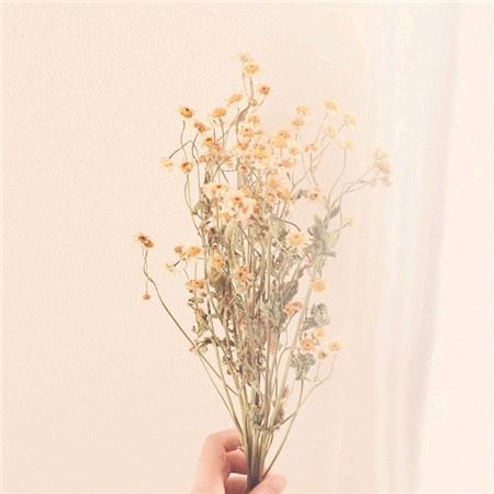 ៚鲸ོ落ོོ ͜✿ ҉҉҉҉҉꯭