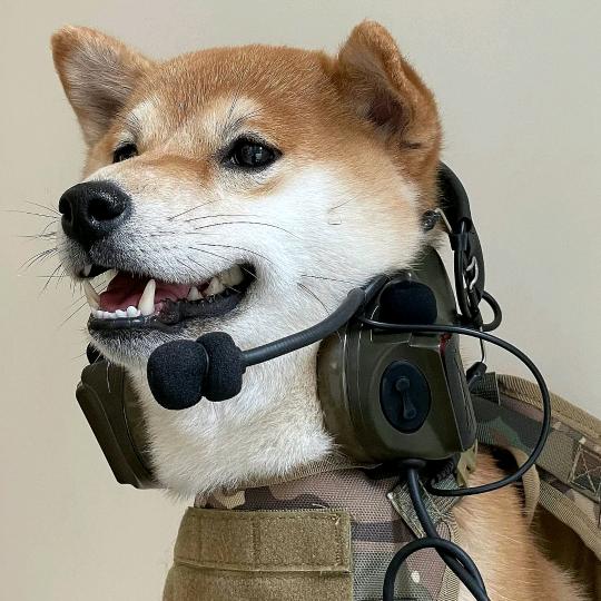 冬冬